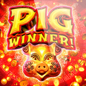Pig Winner