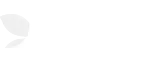 n1casino evolution gaming